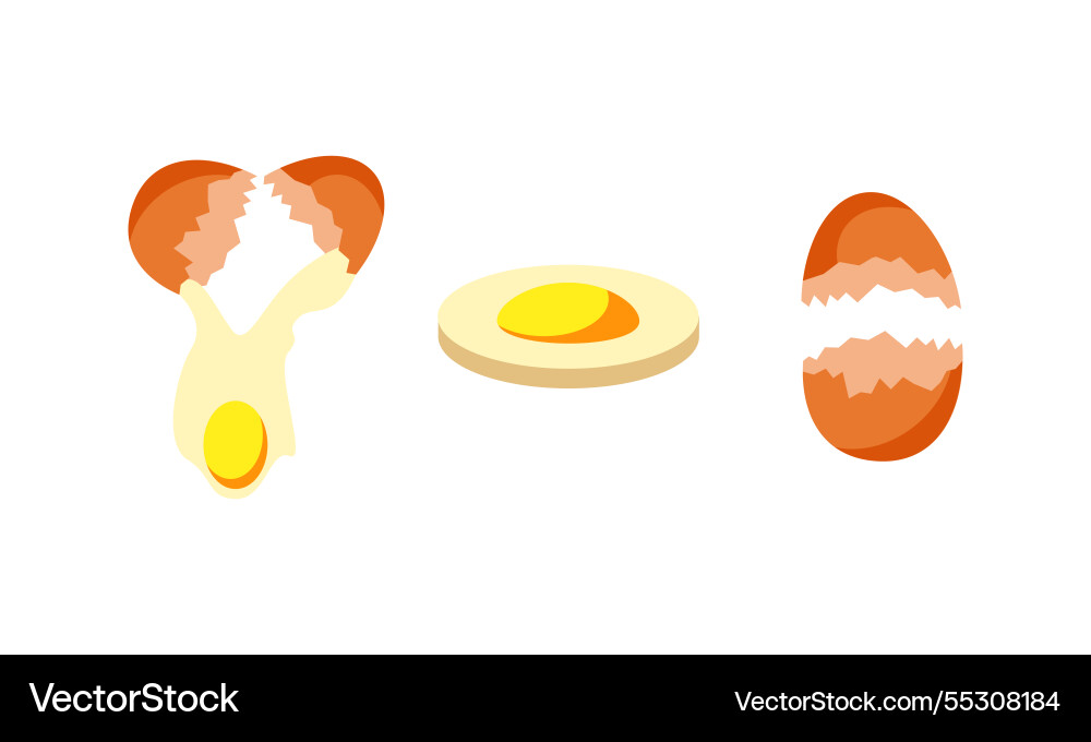 Egg sets in various forms raw boiled and fried vector image