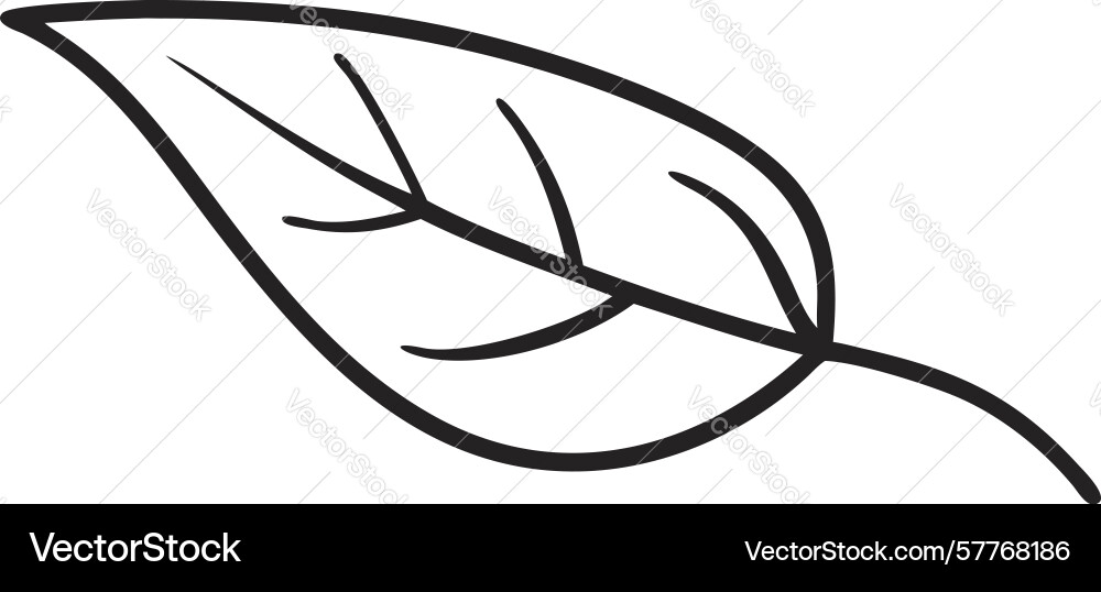 Simple single leaf outline icon design generative Vector Image
