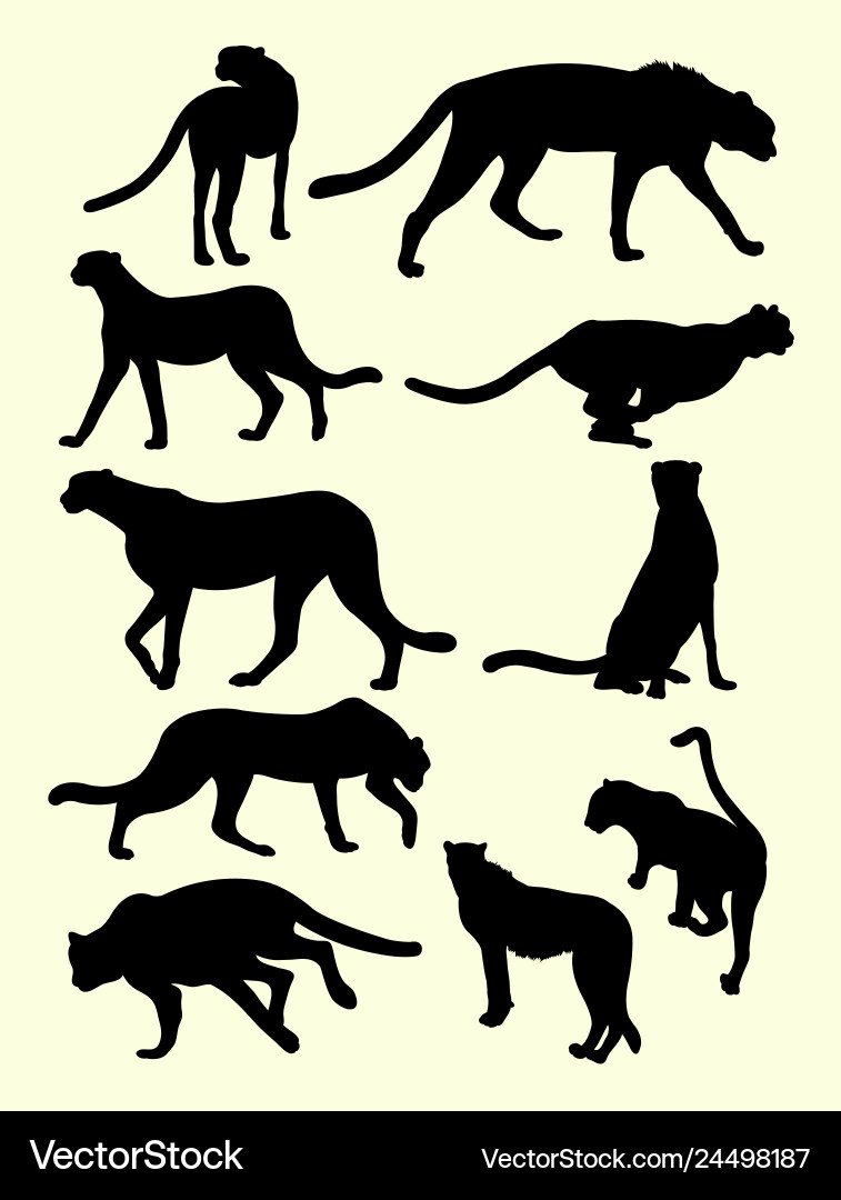 Cheetah Silhouette Animal Art Vector Image