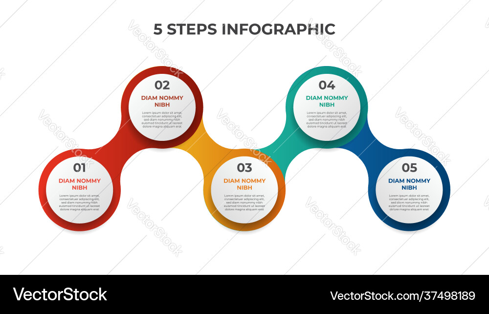 5 points steps connected circle list diagram Vector Image