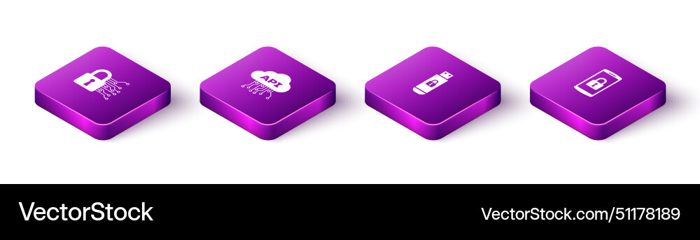 Set isometric cyber security cloud api interface Set isometric cyber security cloud api interface vector image