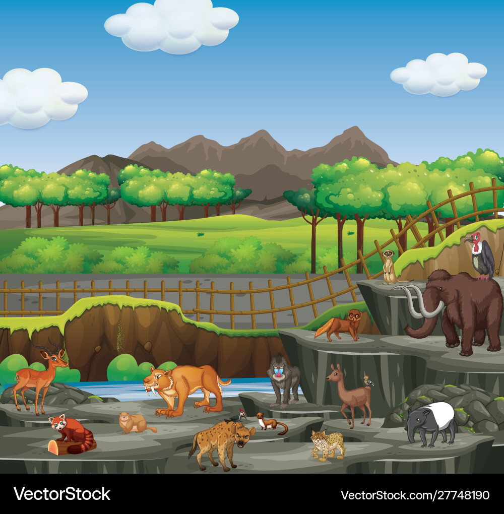 Scene with many animals in open zoo Scene with many animals in open zoo vector image