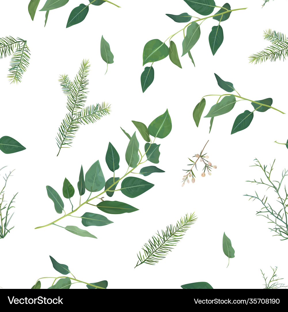 Tender winter christmas spruce tree branches Tender winter christmas spruce tree branches vector image