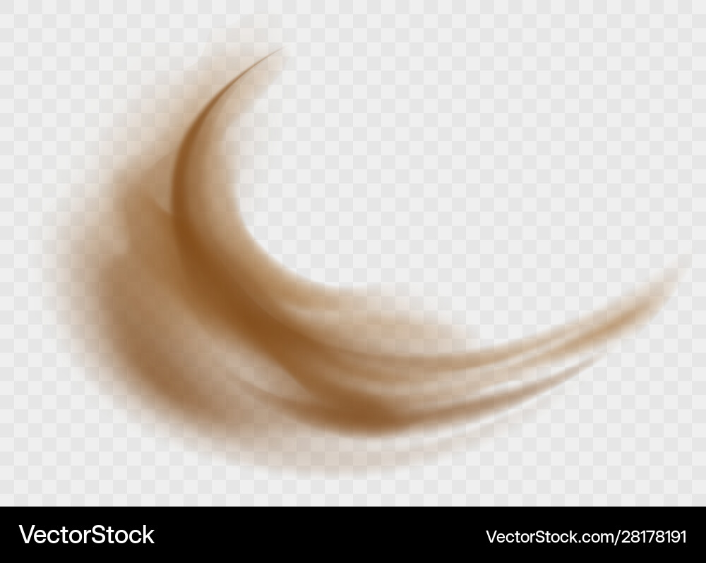 Dust cloud isolated on a transparent background Vector Image