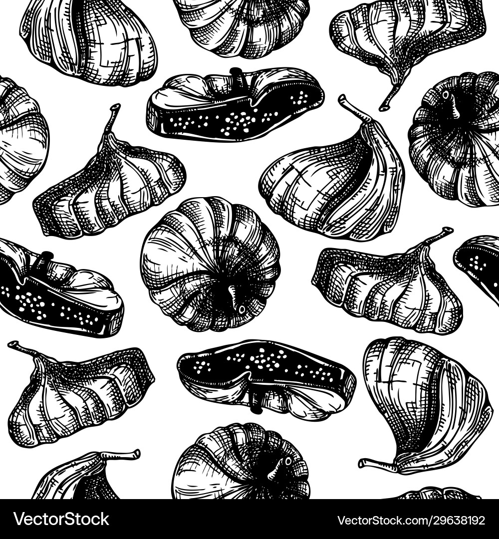 Hand drawn dried fig fruits sketches seamless Hand drawn dried fig fruits sketches seamless vector image
