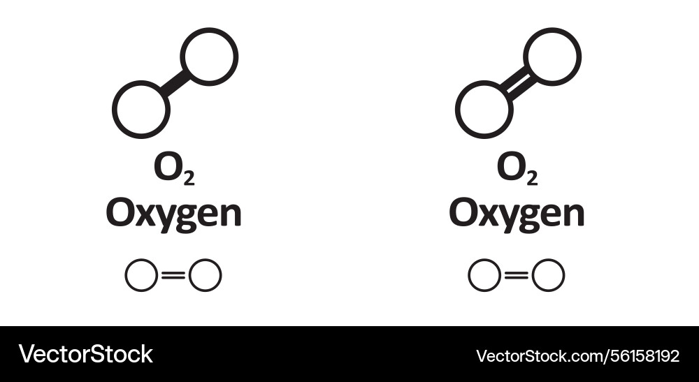 Oxygen 02 molecule o2 is gas Oxygen 02 molecule o2 is gas vector image