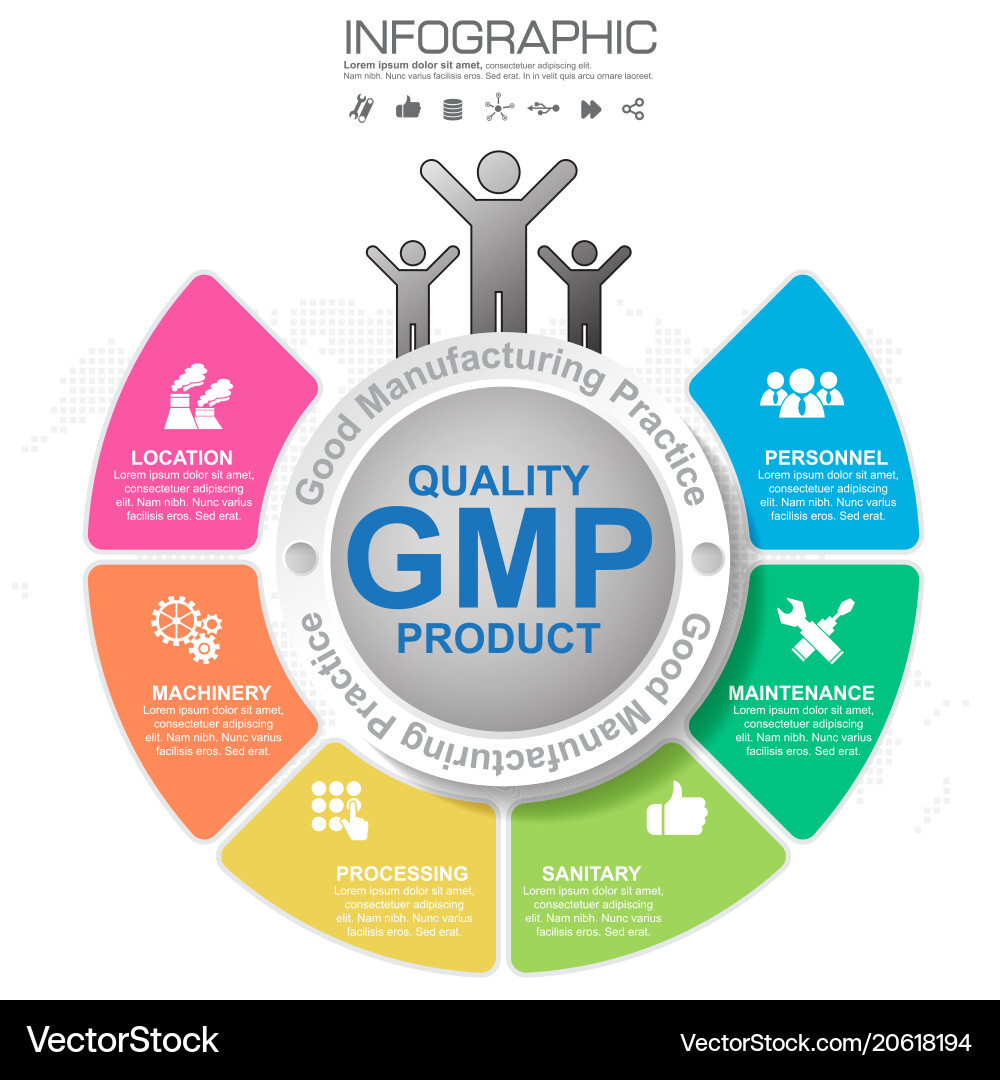 Gmp-good manufacturing practice 6 heading vector image