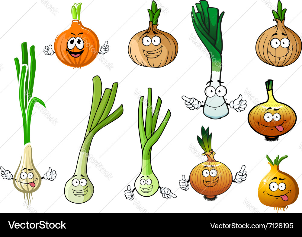 Frische Leeks und Zwiebeln Vektorbild