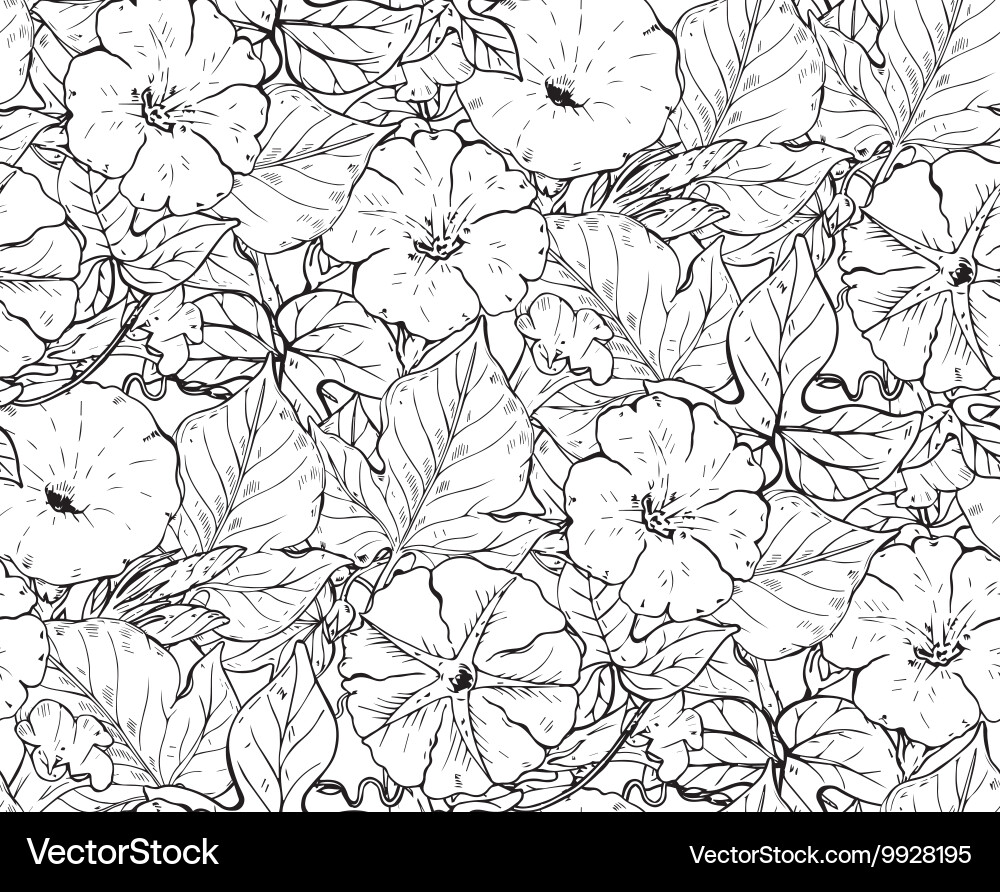 Seamless pattern with hand drawn bindweed vector image