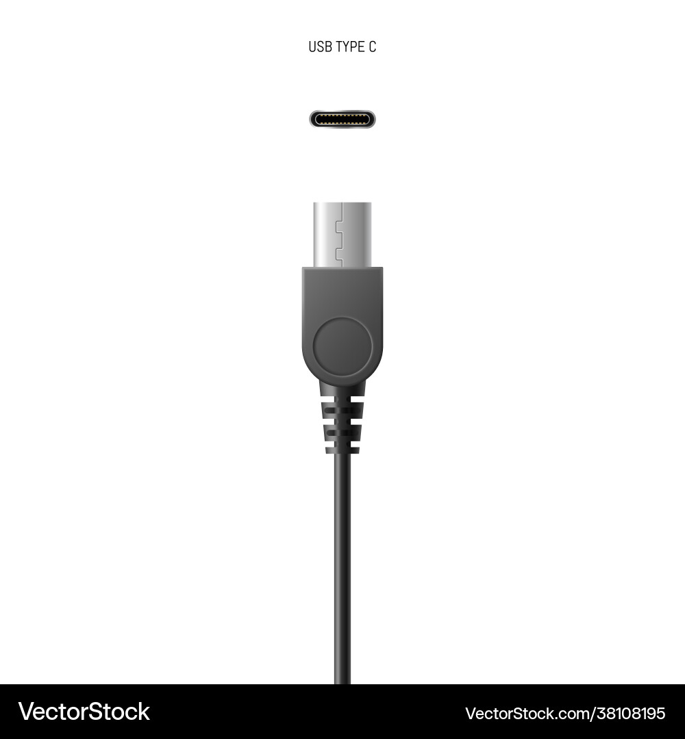 Standard usb type-c plug micro lightning Vector Image