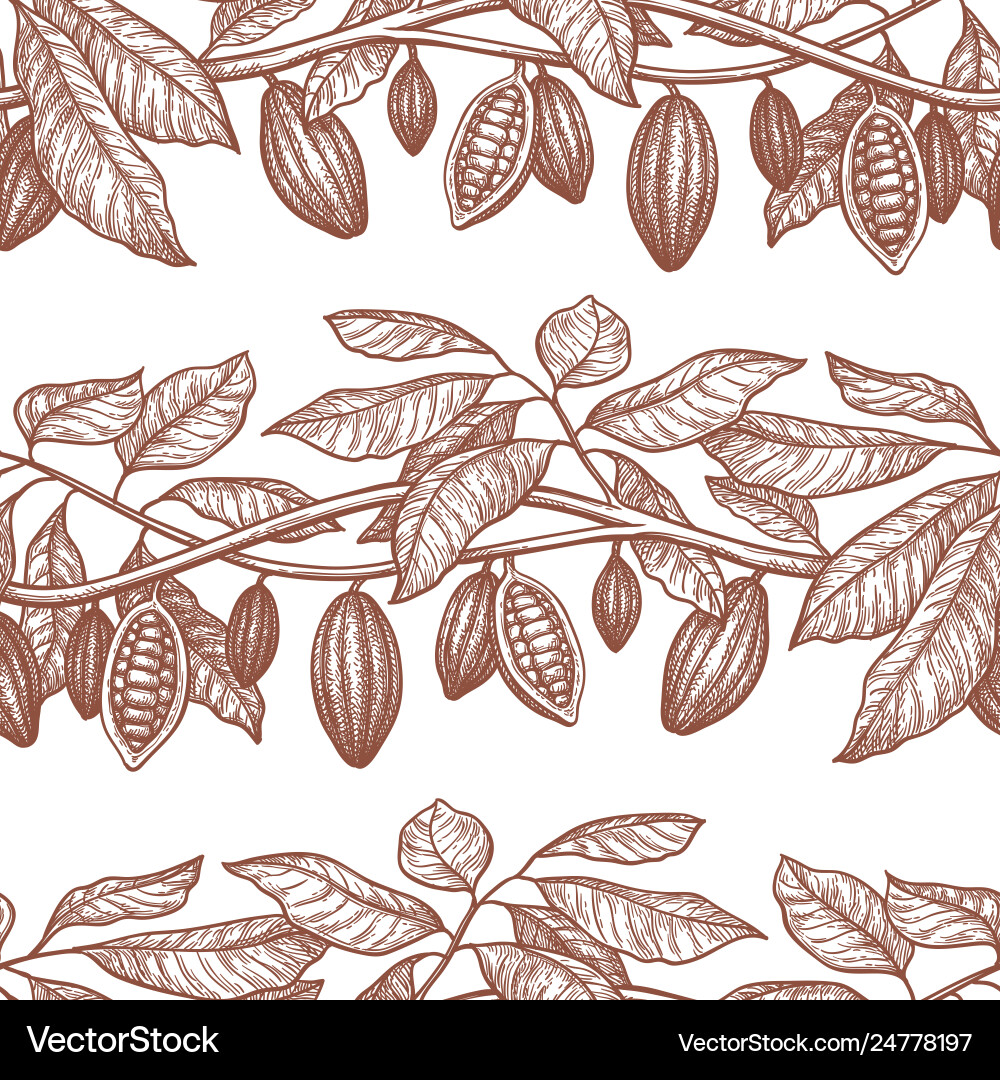 Cocoa Branch Pattern vector image