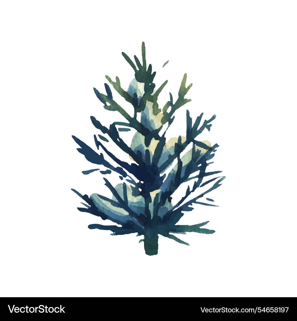 Tree evergreen fir with spreading branches Tree evergreen fir with spreading branches Vector Image