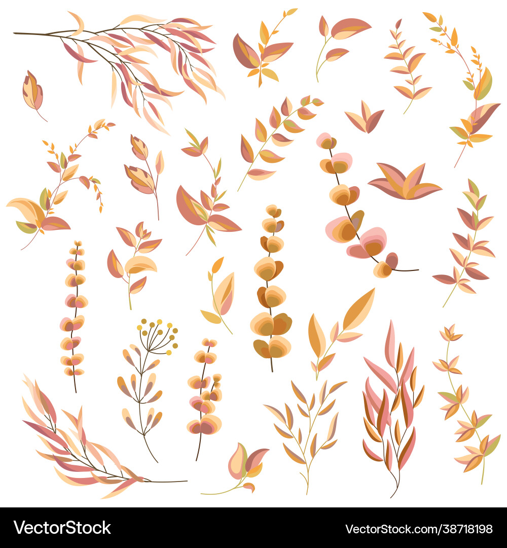 Autumn Leaf and Branch Set Vector Image