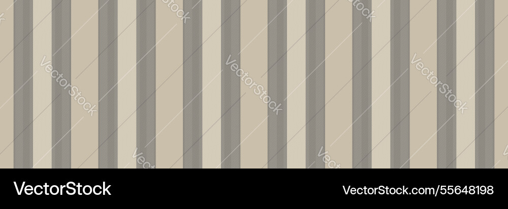 Stroke lines pattern textile rectangle stripe vector image