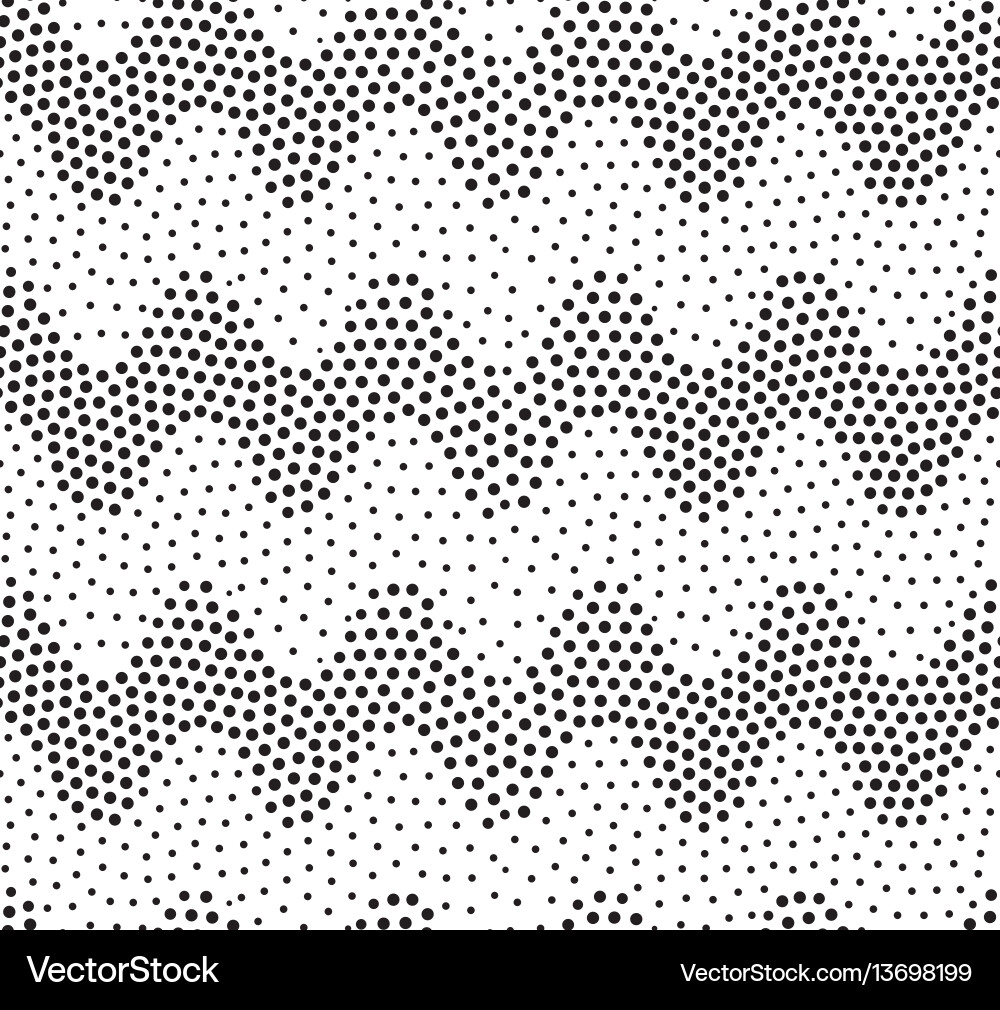 Geometric White and Black Pattern vector image
