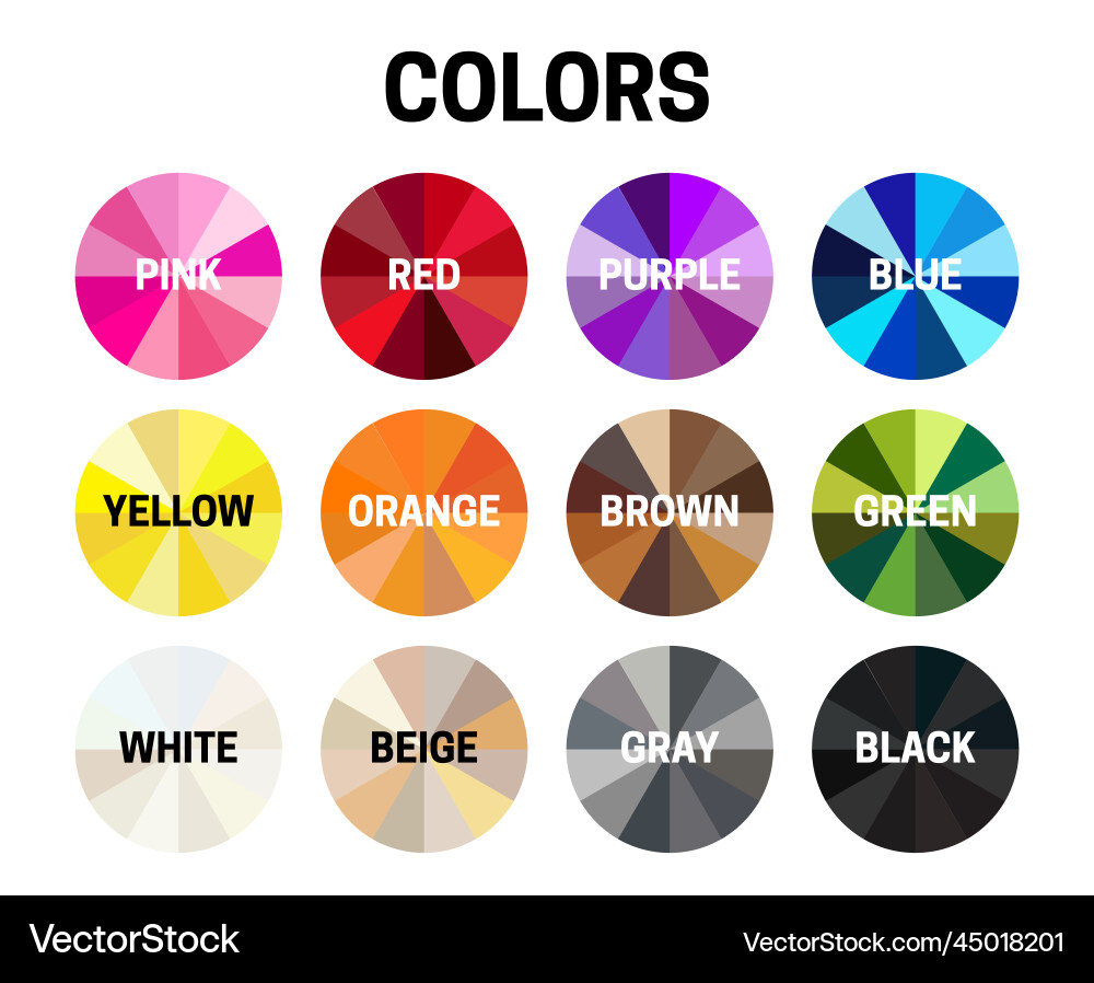 Colors with pink red purple blue yellow orange Colors with pink red purple blue yellow orange vector image