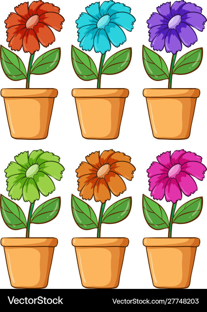 Isolated set flower in different colors Vector Image