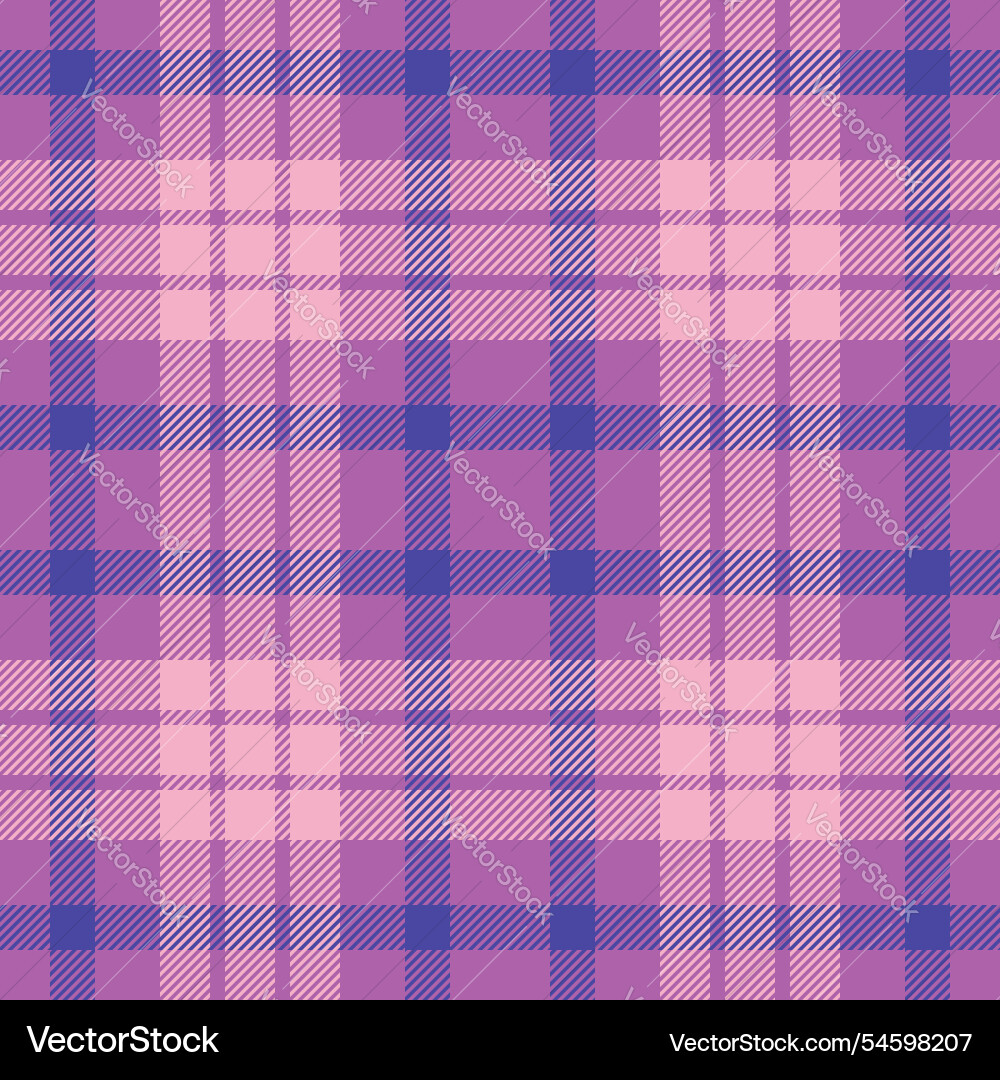 Diagonal texture background plaid open check vector image