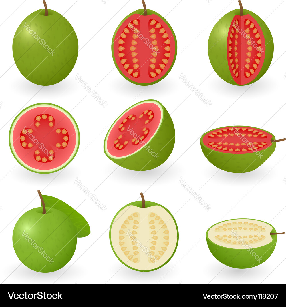 Guava Slice Close-Up Vector Image