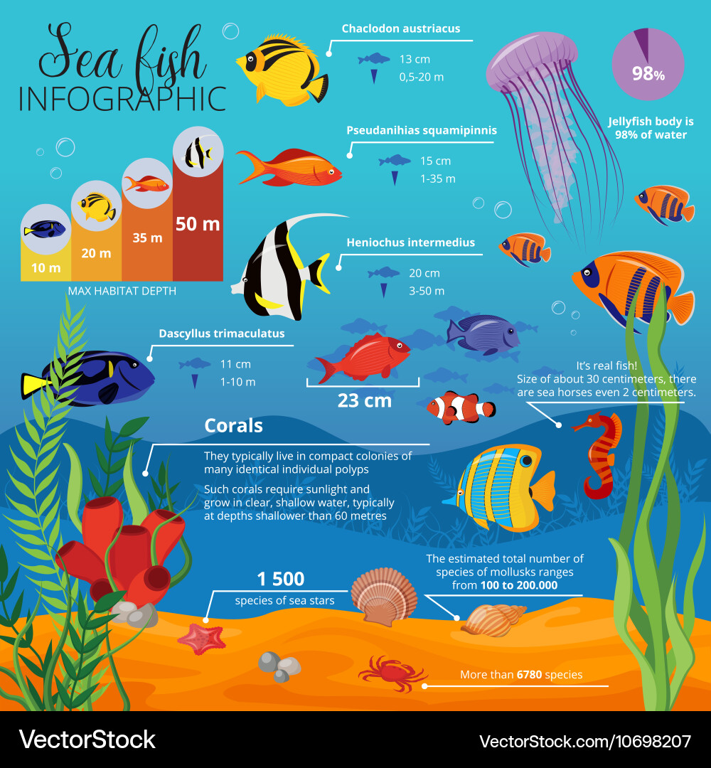 Aquatic Ecosystem Infographic