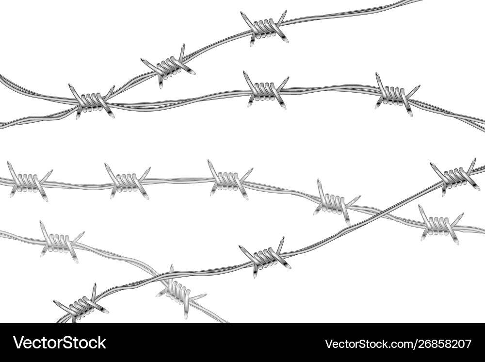 Several lines glossy realistic barbed wire Several lines glossy realistic barbed wire vector image