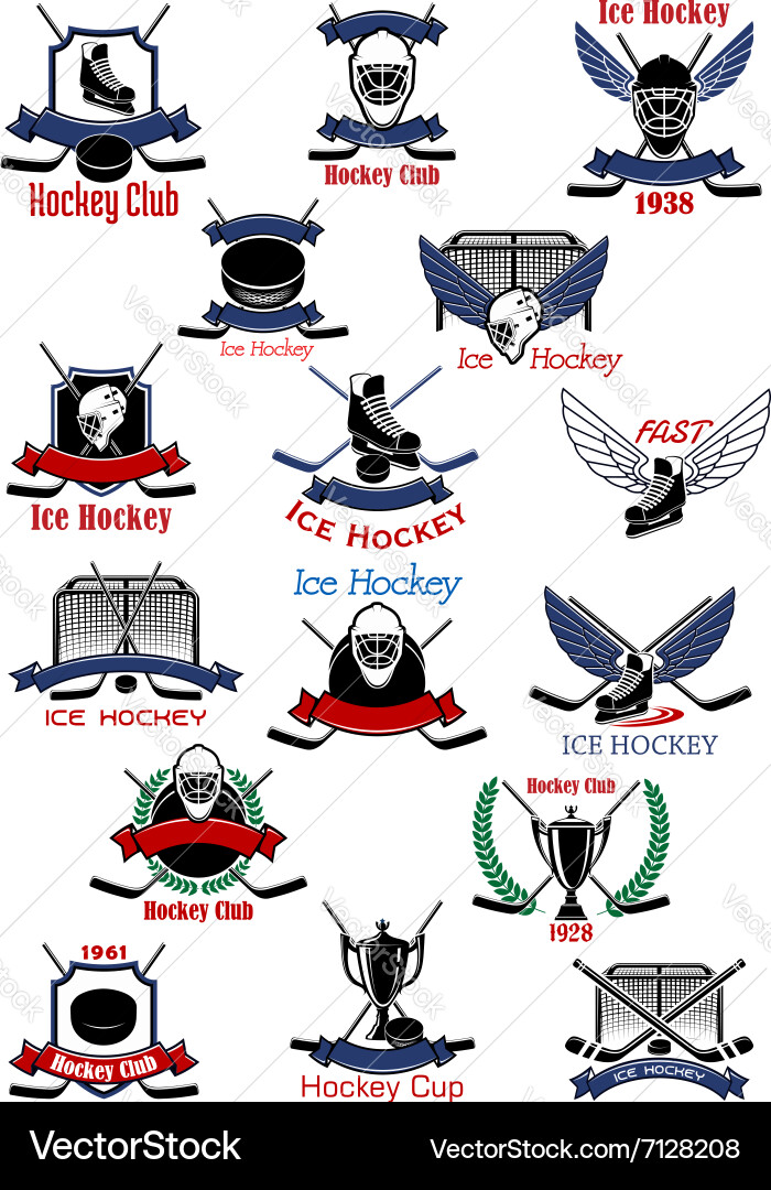 Ice Hockey Sport Symbols & Icons vector image