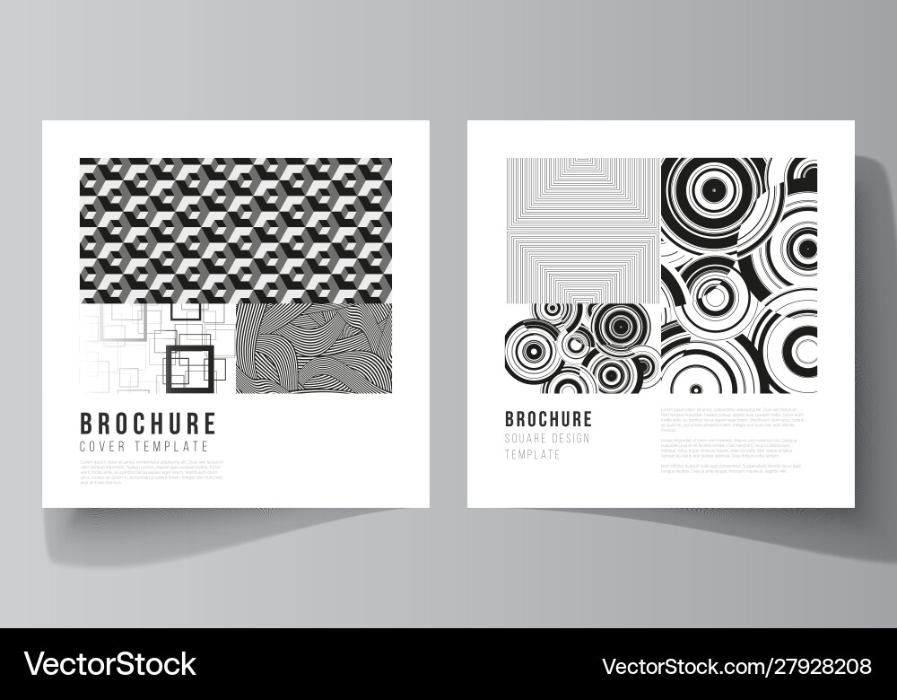 Minimal layout two square format Minimal layout two square format vector image