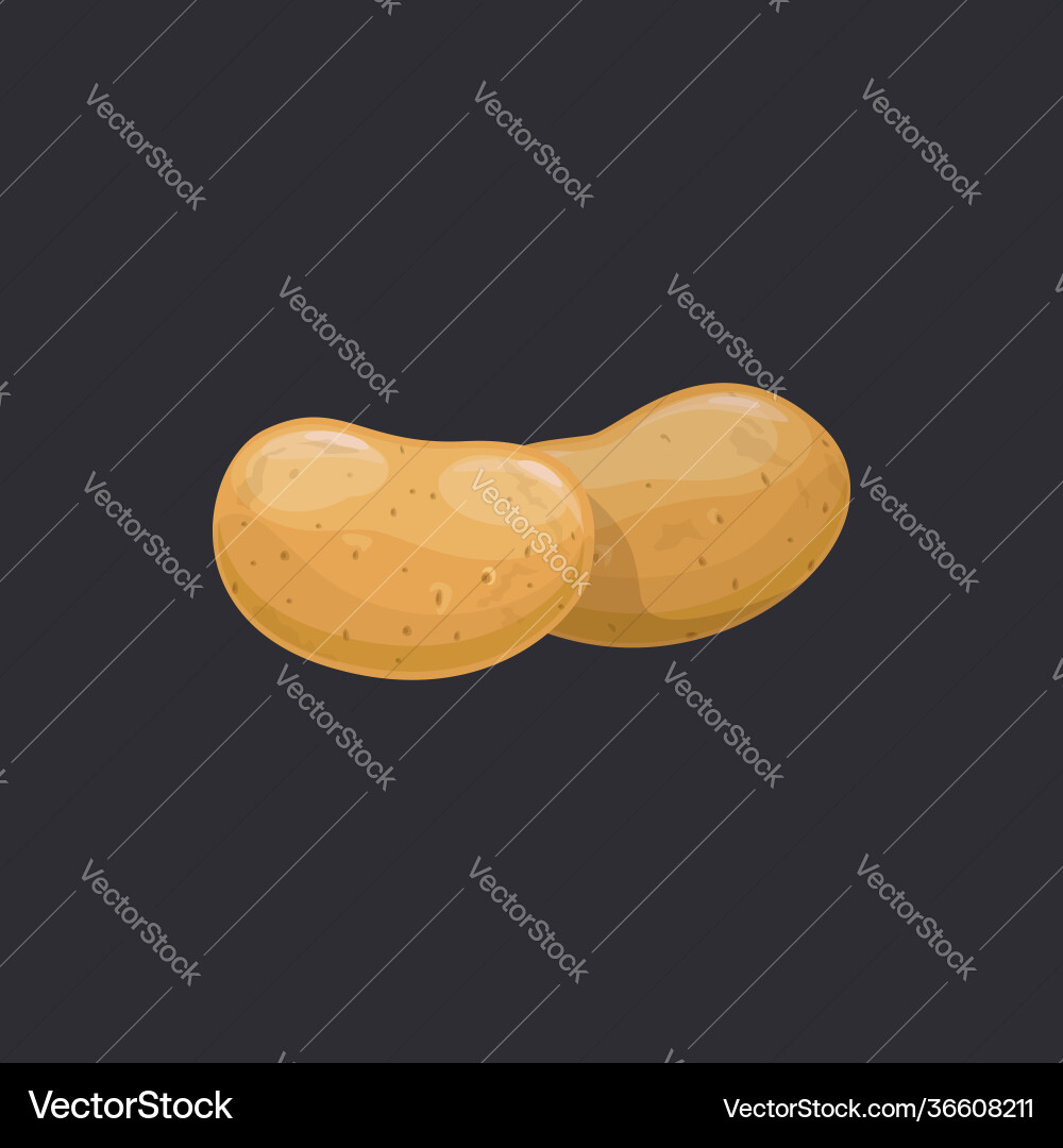 Kartoffeln pflanzliche Wurzel isolierte vegetarische Lebensmittel Kartoffeln pflanzliche Wurzel isolierte vegetarische Lebensmittel vektorbild
