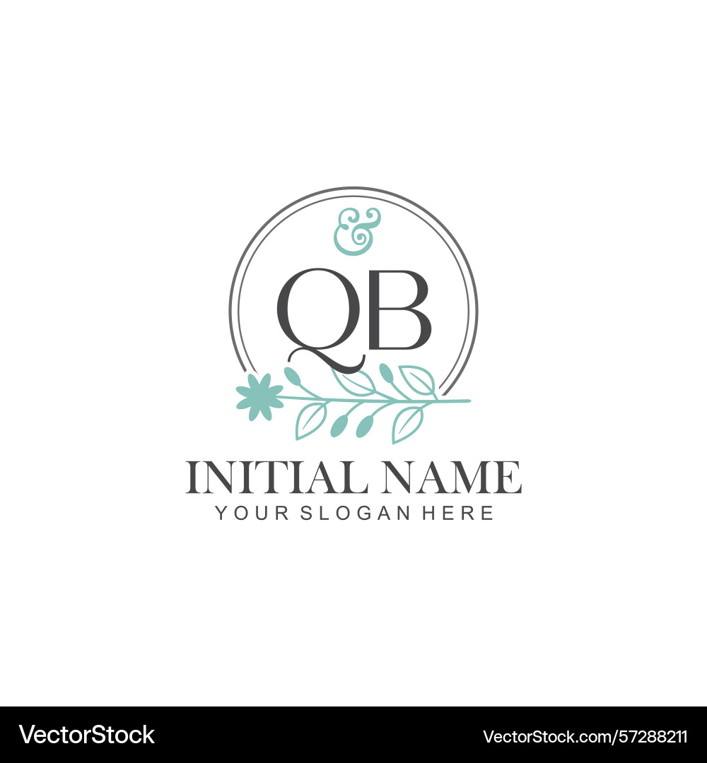 Qb initial logo templates with botanical elements Qb initial logo templates with botanical elements Vector Image