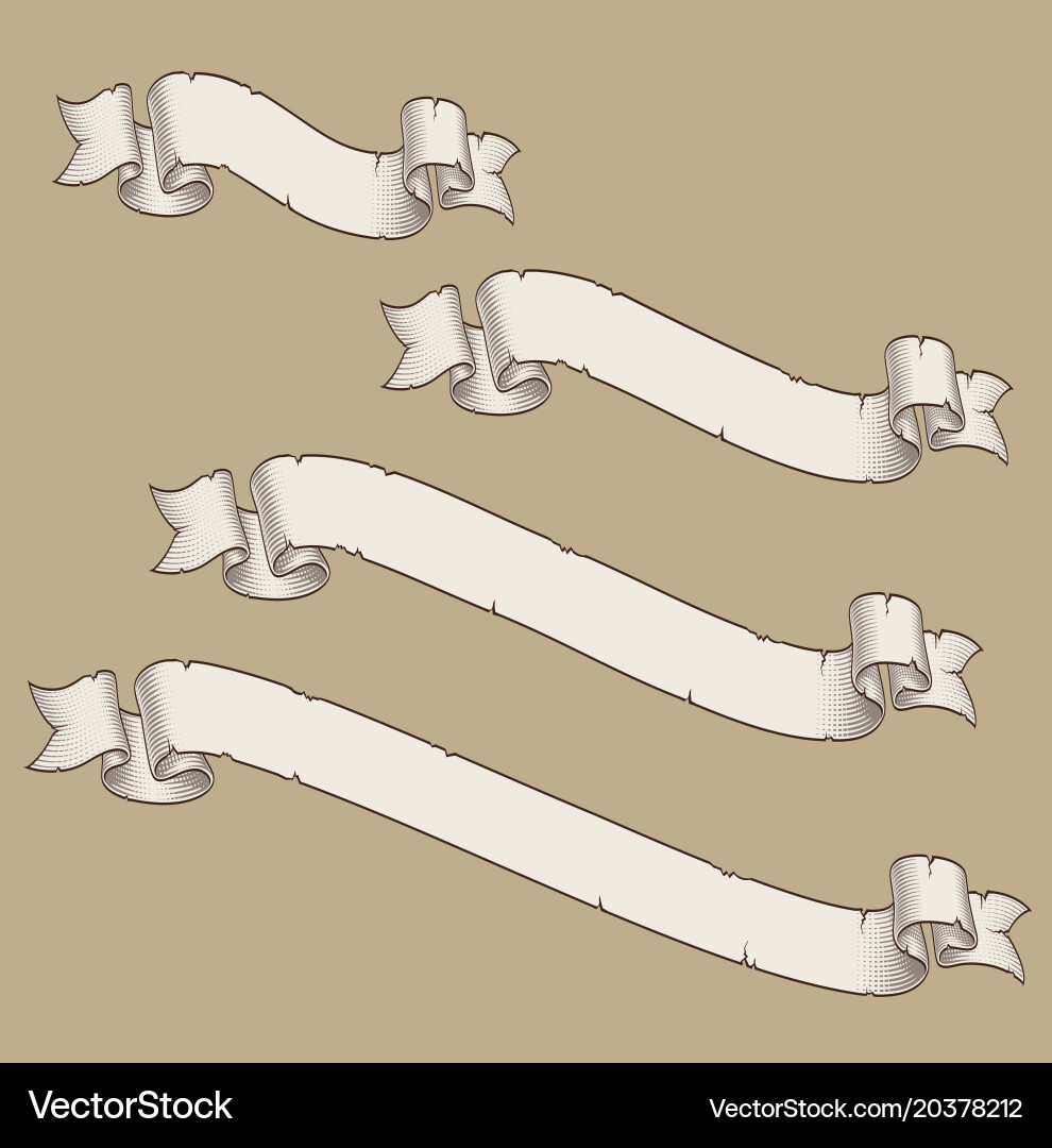 Papyrus scroll curved diagonal four sizes 3 vector image