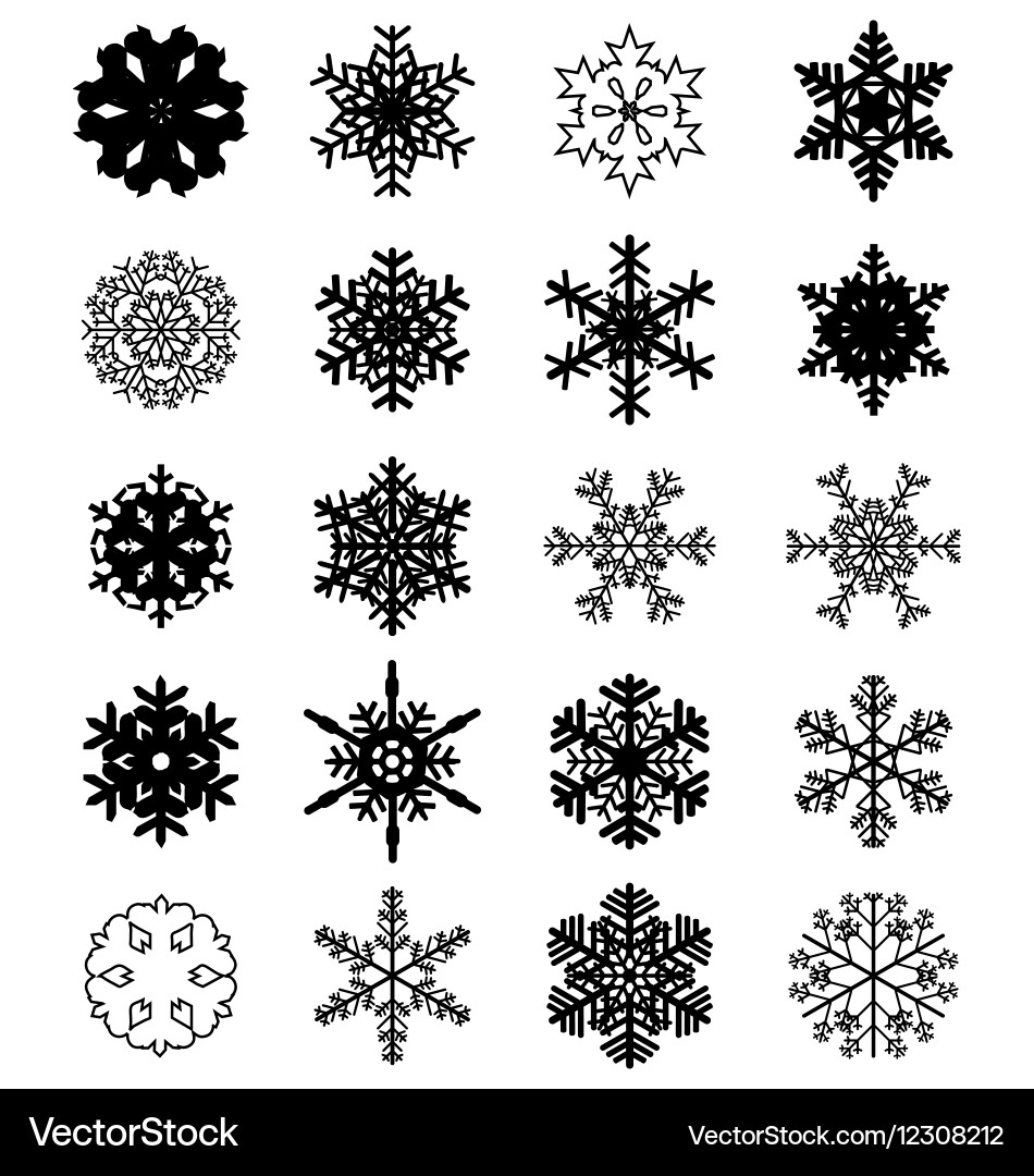 Set of black snowflakes vector image