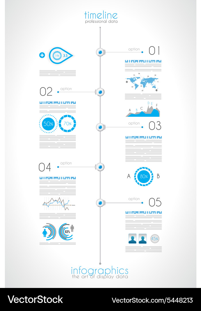 Data Timeline Infographic vector image