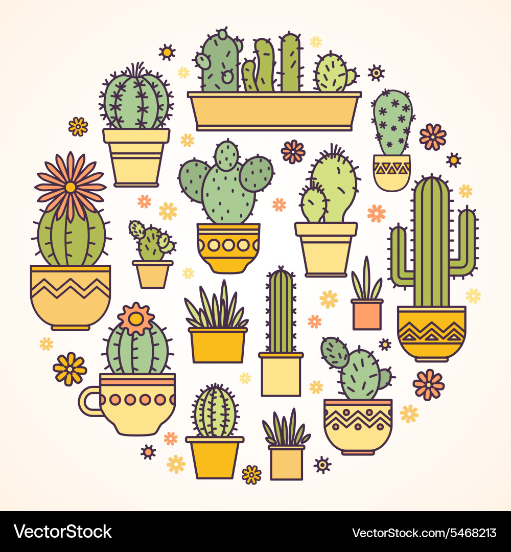 Potted Cacti & Succulents vector image