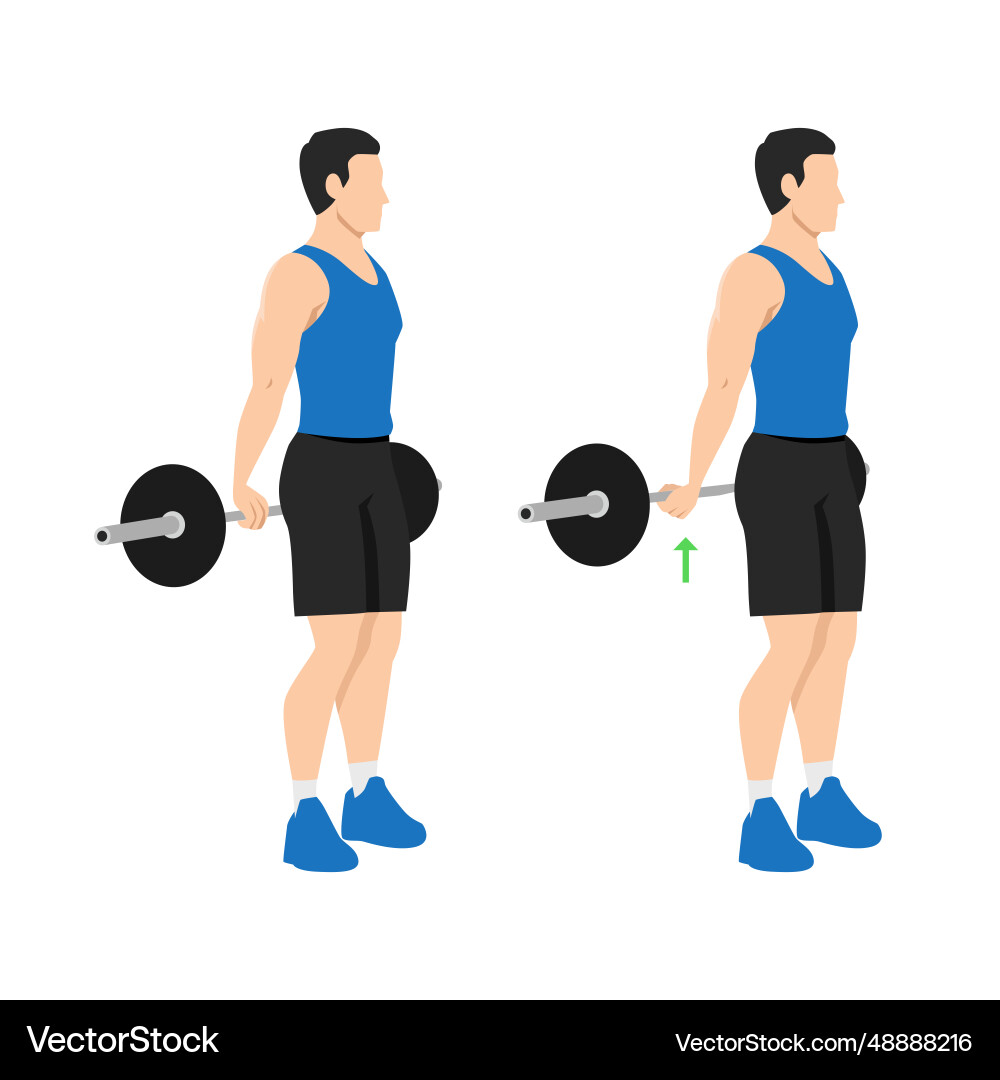 Man doing behind the back standing wrist curls Man doing behind the back standing wrist curls vector image