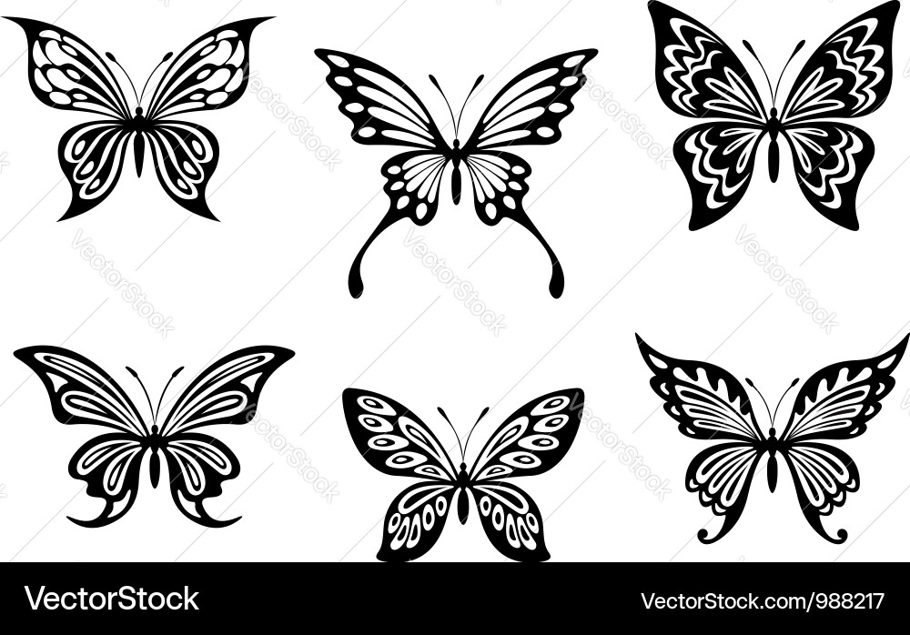 Black Butterfly Silhouettes Vector Image