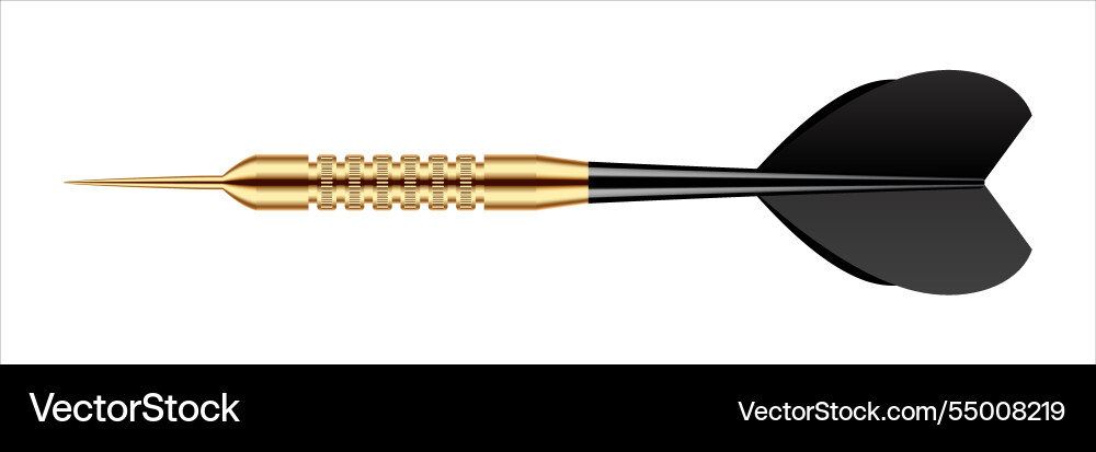 Dart arrow with metal tip and shadow Dart arrow with metal tip and shadow vector image