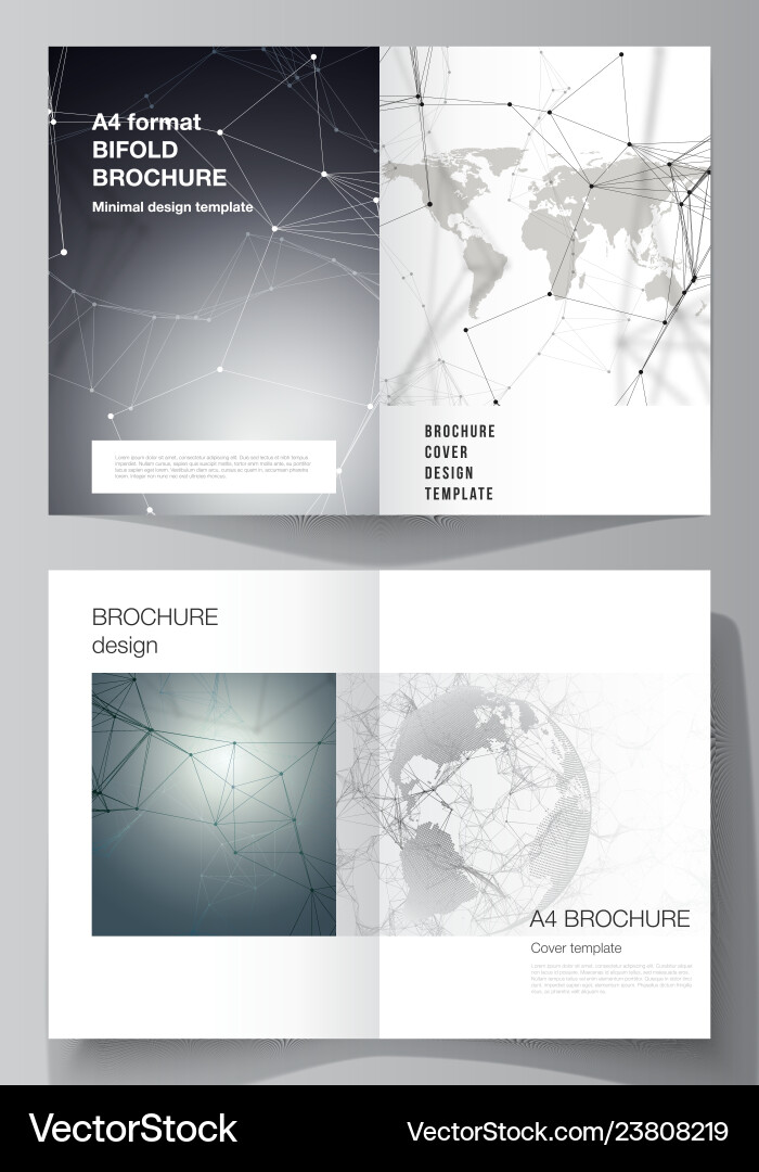 Layout of two a4 format cover mockups Vector Image