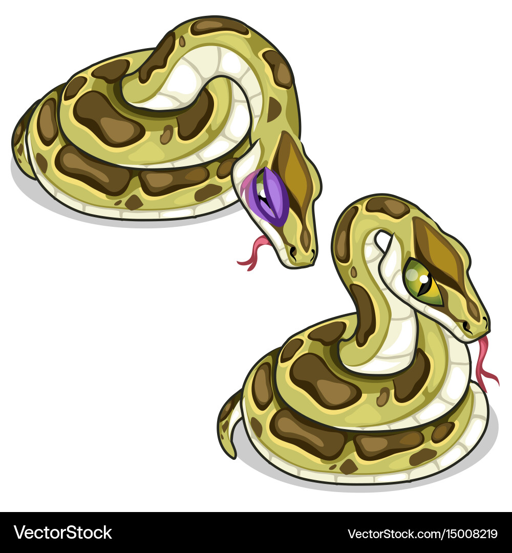 Set of two mesh pythons one evil another sick vector image