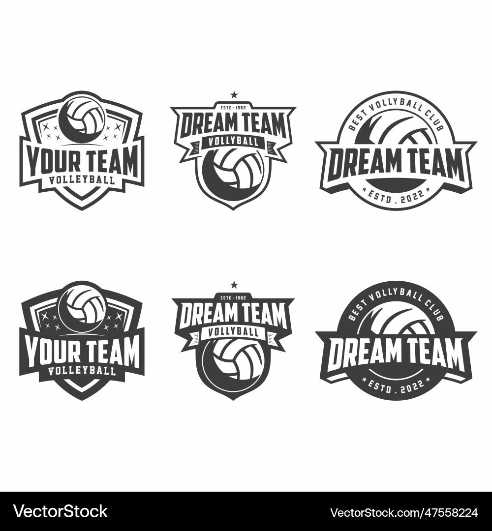 Volleyball Badge Set - Clean & Modern vector image