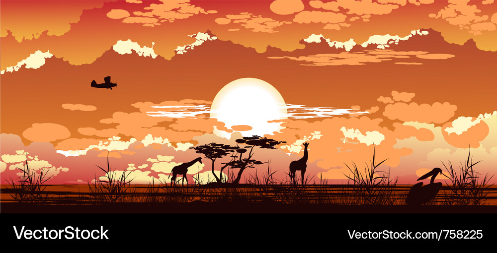 African Sunset Safari Vector Image