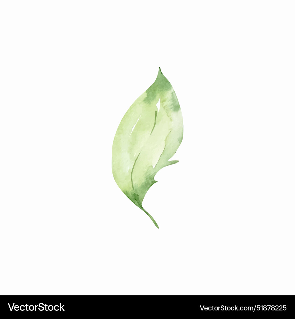 Aquarell grün Blatt Blumendesign Aquarell grün Blatt Blumendesign vektorbild