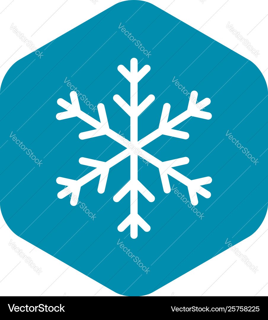 Snowflake icon outline style Snowflake icon outline style Vector Image