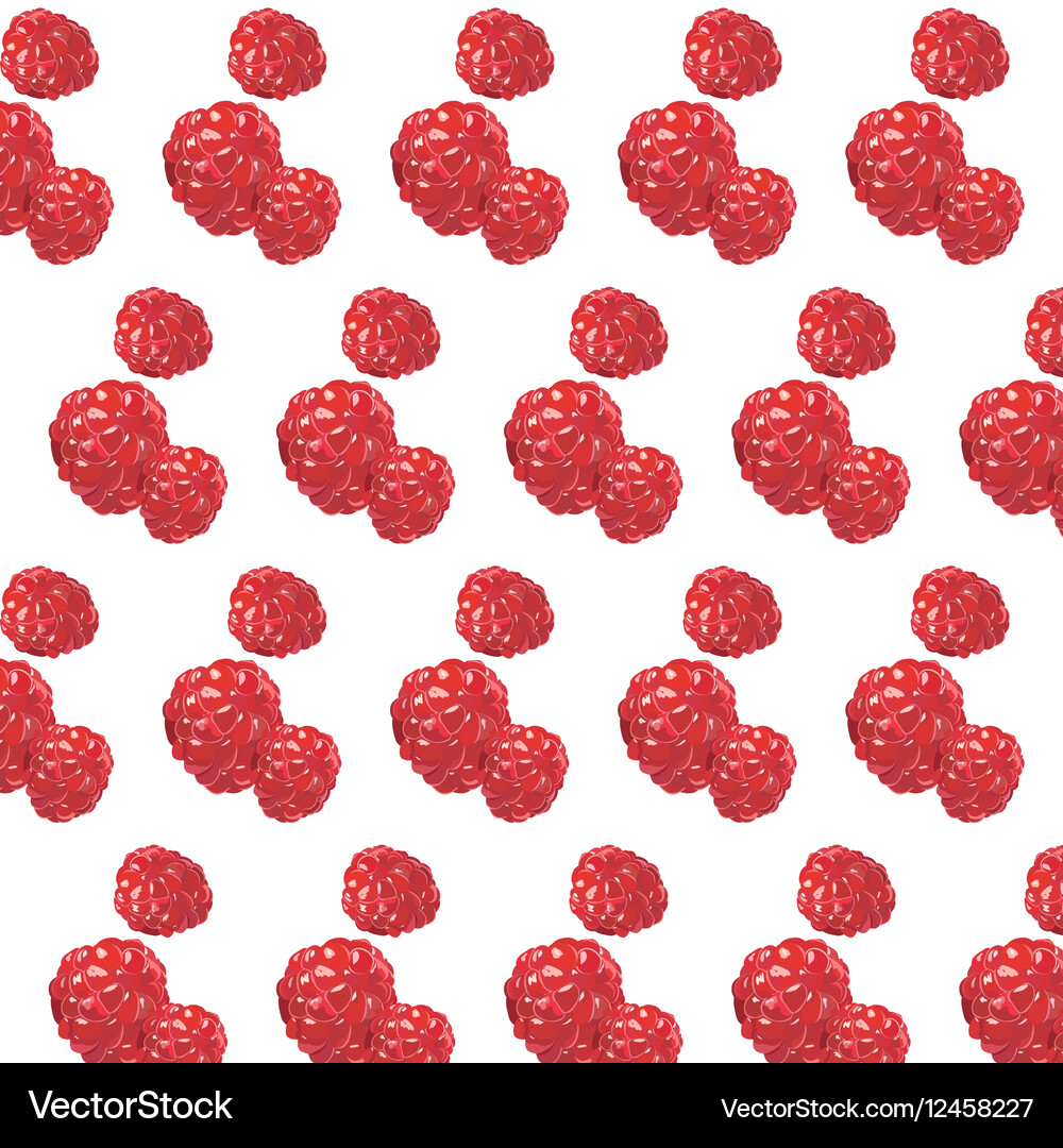 Fresh raspberry pattern Vector Image