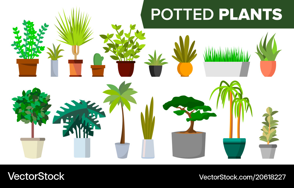 Stylish Potted Plants Collection Vector Image