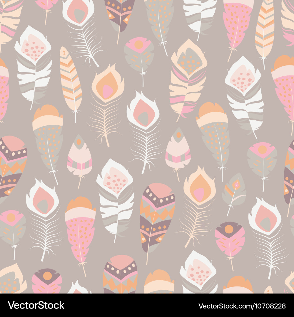 Bohemian Feather Pattern vector image