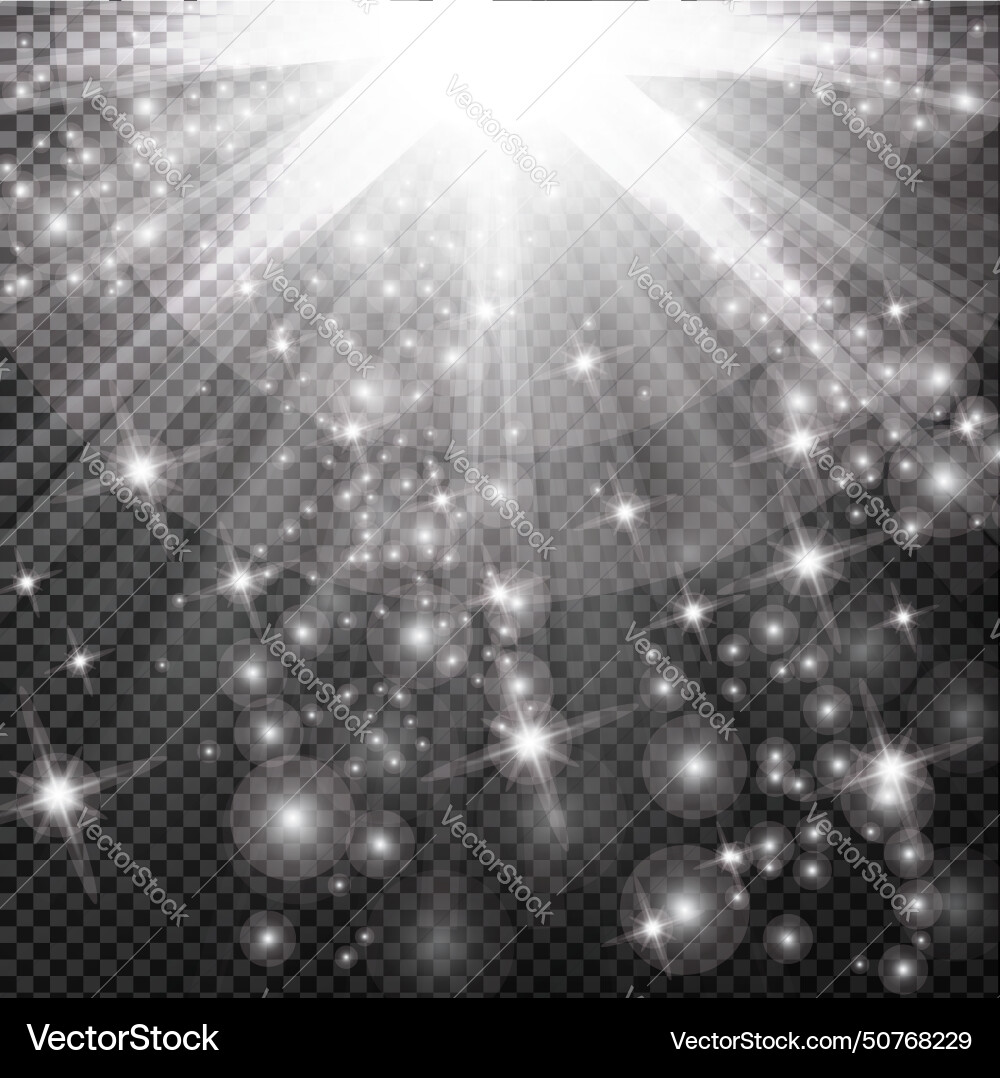 Lights shining on transparent background Vector Image