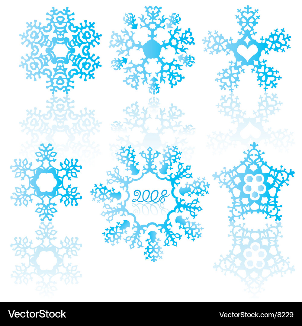 Set of snowflakes Vector Image