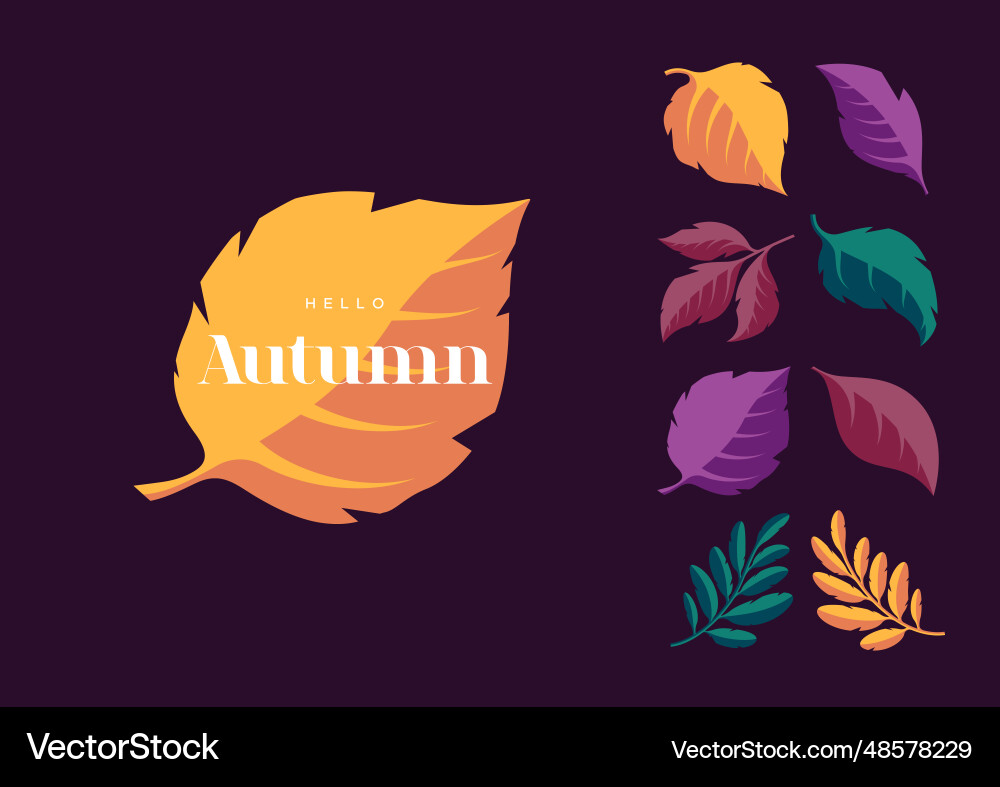 Set of vintage graphic leaf shapes vector image