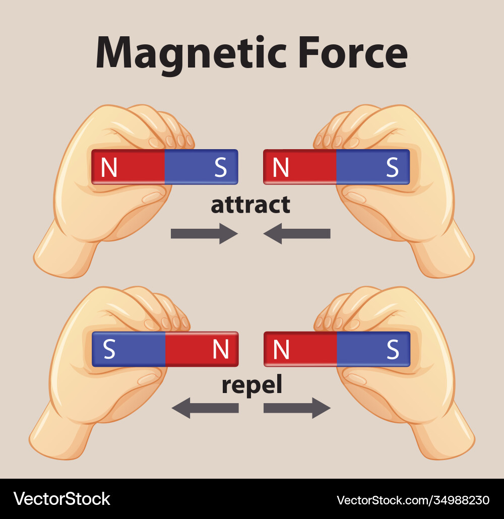 Magnetic force show attraction Magnetic force show attraction vector image