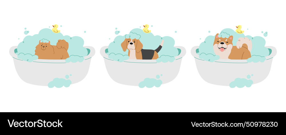 Pet grooming 4 Royalty Free Vector Image - VectorStock